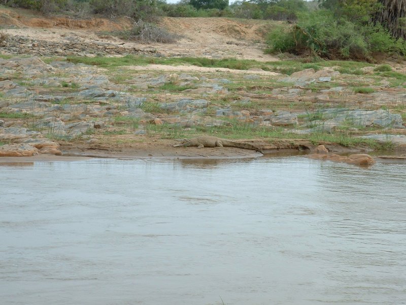 gal/Honeymoon/Tsavo East/DSCF0049.JPG
